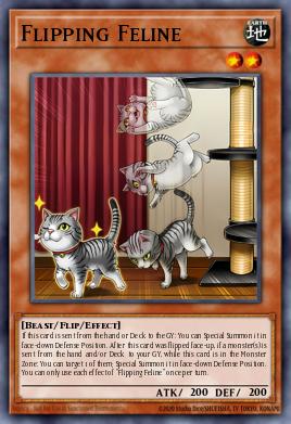 Flipping Feline
