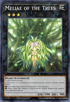 Meliae of the Trees